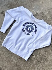 1960s Vintage CHAMPION Knitwear Wyoming Girls State Crewneck Sweatshirt USA (S)
