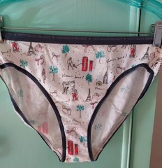 Victoria’s Secret Hi Leg Brief Panties Size Large nwot