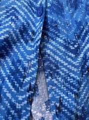Howard Wolf of Dallas Button Up Shirt Blue with Pink Green Blue Collar Size 6