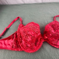 Vintage Victoria’s Secret Bra 34D Red Nylon & Lace Underwire No Tags