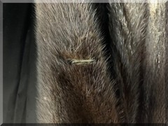 NATURAL RANCH MINK COAT JOSEPH PALANKER & SONS 54 INCHES LONG $9500.00 APPRAISAL