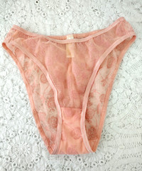 Vtg 1980s Pink SEARS Sheer Floral Flocked Tanga High Rise French Cut Panty 5 S