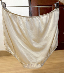 Vintage Silky Brown Nylon Panty High Waist Sissy Bikini Sheer Briefs Sz.9/2XL