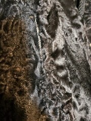 Vintage 1940s 50s Swakara Broadtail Karakul Astrakhan Fur Coat Silk Lined