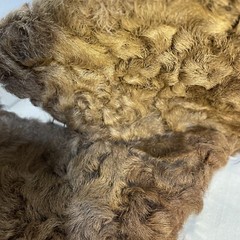 VTG Fur Curly Collar & Lapels Leather Back 37”around 6” Wide At Collar ,Unknown
