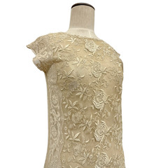 Antique 1900s Edwardian Ecru Net Lace Floral Embroidered Sheer Tea Dress