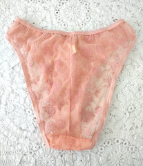 Vtg 1980s Pink SEARS Sheer Floral Flocked Tanga High Rise French Cut Panty 5 S