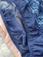 Vintage Silky Navy Polyester Nylon Panties Sheer Lace Hi Cut Bikini Briefs SZ.5