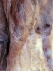 VINTAGE FUR COATS (3) AS IS LOT