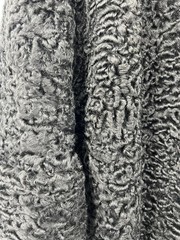 Vintage Vandervoorts Broadtail Persian Lamb Jacket Silver Mink Collar EUC sz L