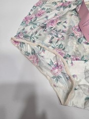 Vanity Fair Vintage Pink Green White Rose Flower Nylon Cotton Panties Size 6 NWT