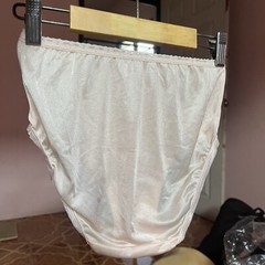 Vintage Panties Nylon Briefs Champagne Slippery Haft Waist Double Gusset Sheer