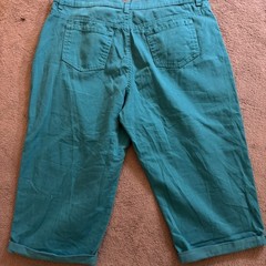 Gloria Vanderbilt Amanda Teal Size 16 Y2K Whimsical Summer Bold Casual Indie Pop