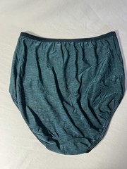 Soft & Silky Vanity Fair Illumination 9/2XL Granny Panty Brief in Svannhblus