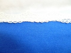 Dixie Belle 29″ Nylon Half Slips,(3513)