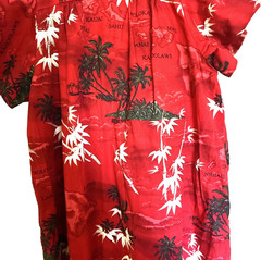 VNTG RED HAWAIIAN MUUMUU Dress With Palm Tree, Bamboo, Island Names Throughout!