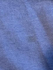 Vintage 1990s Fruit of the Loom Best Womens? T-Shirt Seashells/Starfish/SeaHorse