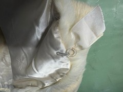 Vintage Rabbit Fur Stole/Capelet Wedding Shawl Wrap Ivory 1950s/1960s*READ*