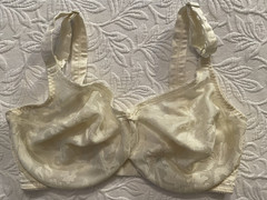 Vintage Warners Bra 34DD Perfect Support # 1500 ivory floral unlined underwired