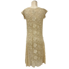 Antique 1900s Edwardian Ecru Net Lace Floral Embroidered Sheer Tea Dress