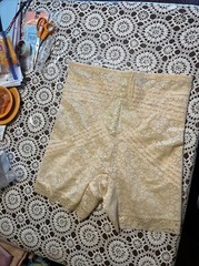 Rago of New York Lace Shaper Girdle w/Garters Style 6207 NWOT~Vntge Size 8X/46