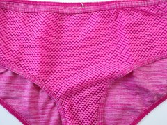 Vintage Victoria’s Secret 2016 Perfect Everyday Net Hipster Panty MEDIUM
