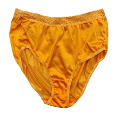 Vtg Fruit Of The Loom Sz-7 Sheer Nylon Hi Waist Brief Panties