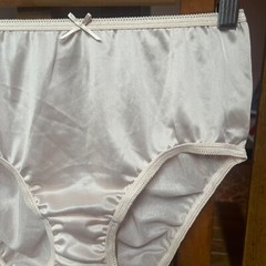 Peace Panties Slippery Nylon Briefs Size 6 Hip 39 Inch Bikini Silky Sheer Gusset