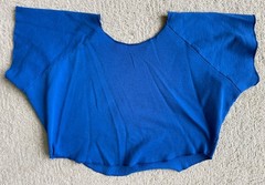 Vtg 90s Women’s Gym Sweatshirt Muscle Bodybuilder Crop Top Sweetness Beverly Int
