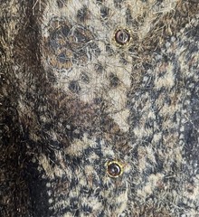 Edel Artsy Animal Print Long Statement Duster Cardigan Vintage Eclectic Boho OS