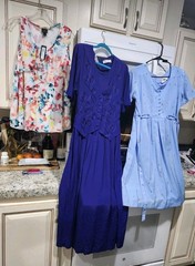 Lot 3 Sz 14W KsL RK Dress Blue Pink Flowers Purple, Ruffle Top 1 Nwts L