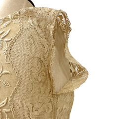Antique 1900s Edwardian Ecru Net Lace Floral Embroidered Sheer Tea Dress