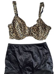 Vtg Bra Delicates UW Leopard 36D & Black Vanity Fair Second Skin Satin Brief 7 L