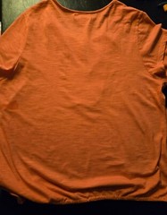 Blouse-Women’s Dress Barn-Soft Pumpkin-Embroidered Floral- Fall Ready! 1XL