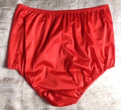 Vintage 1970’s Vanity Fair Red Panties All Antron Nylon Size 6