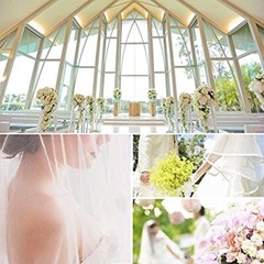 Two Layer Lace Short Bridal Veil With Comb Elbow Length Wedding Veil Ivory White