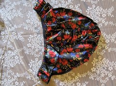 Sexy Satin Panty Silky Flutter Bikini Panties