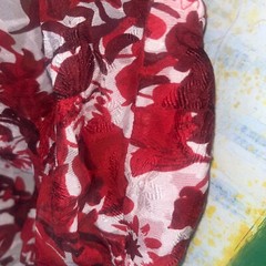 Vintage Silkscreen Bikini Panties Sz 6/M