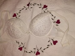 VTG 36c Olga Silky chiffon padded chantilly lace pin up T Shirt Bra NEW PIN UP