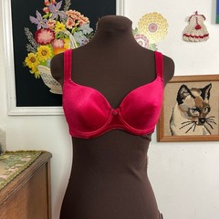 Vintage Victoria’s Secret Red Velvet Bra, 36B, y2k Lightly Lined Underwire