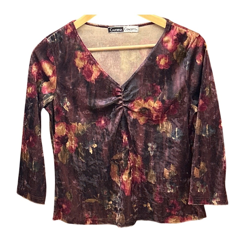 Vintage 90s Boho California Concepts Floral Velvet Top Whimsigoth Grunge Fashion